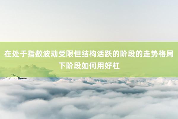 在处于指数波动受限但结构活跃的阶段的走势格局下阶段如何用好杠