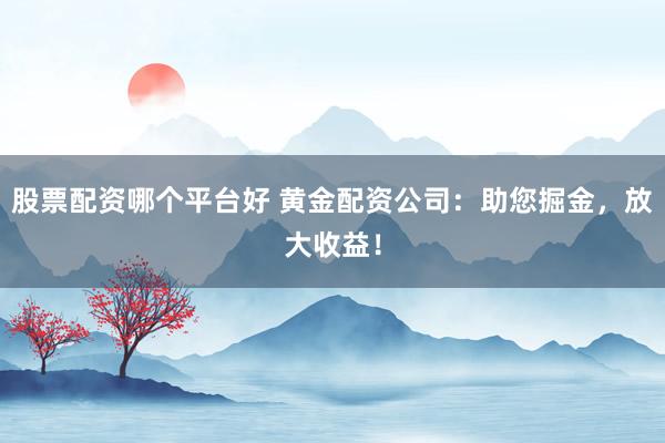 股票配资哪个平台好 黄金配资公司:助您掘金,放大收益!