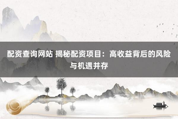 配资查询网站 揭秘配资项目:高收益背后的风险与机遇并存