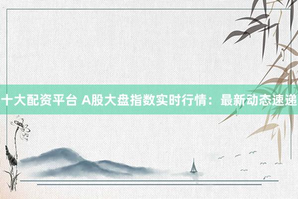 十大配资平台 A股大盘指数实时行情：最新动态速递